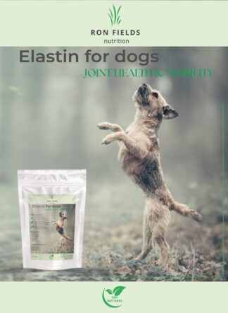 Ron Fields Nutrition Elastin für Hunde