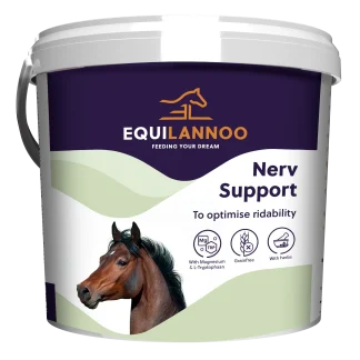 Equilannoo Nerv Support