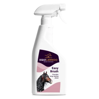 Equilannoo Easy Brush