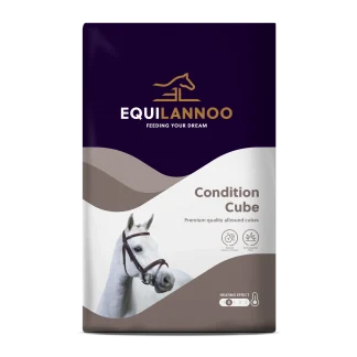 Equilannoo Condition Cube