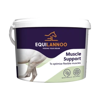 Equilannoo Muscle Support