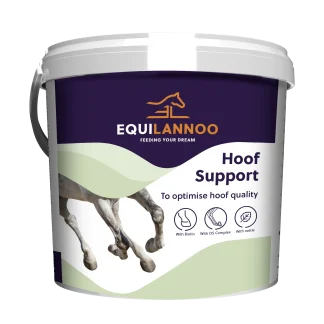 Equilannoo Hoof Support