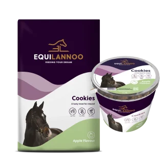 Equilannoo Cookies Apple