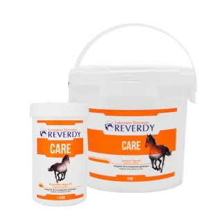 Reverdy Care Powder