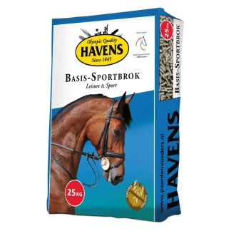 Havens Basis-Sport