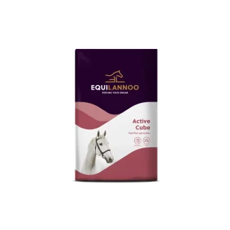 Equilannoo Active Cube