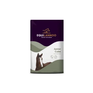 Equilannoo Junior Cube