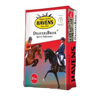 Havens Draversbrok