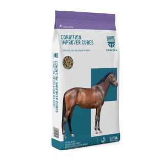 Saracen Conditioning-Improver Cubes