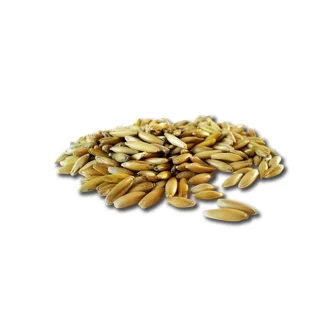 Weisser Hafer, ganz - 25kg