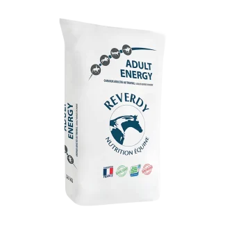Reverdy Adult Energy