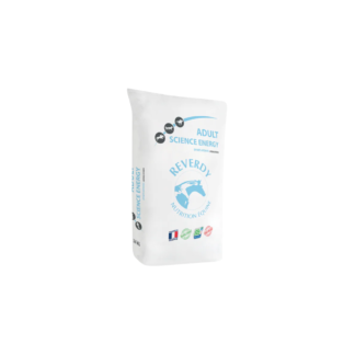 Reverdy Science Energy